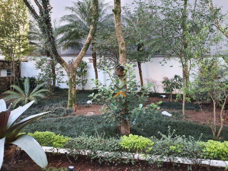 113S8tW7dr5sAGlfQn4lsAKWR8Uybtxd-1