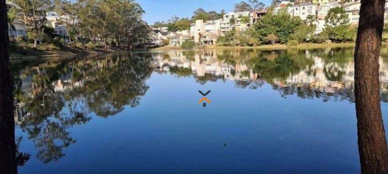 1e7eac57275faf958e01362105d505b1-1