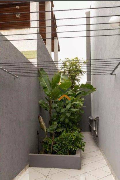 3aSx2jg7hRAov5FF8zkfTKyXt3ZTNvs0-1