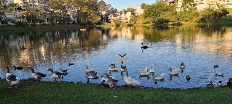 4bd667f7168cfc5b542b5a3d538ce4cf-1