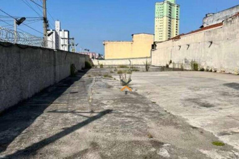 548627d15123c60a8e77a95ac5b1b3f6-1