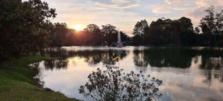 9519b176db93a9a69d9a4044b1c25a70-1