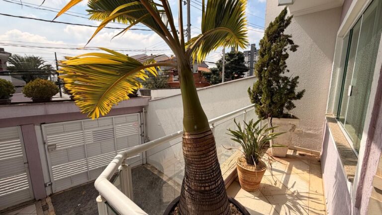 S1FA8e9q0_TR4AAojFRojGW9LFE5PyiQr_xO2T58am5Xrb9x9IE28mxGy7AXxsis3peAAYuTs6v-w1OMfBYWEKT8LIX7mP_kLZnfXUE0BugMZww1920-h1080