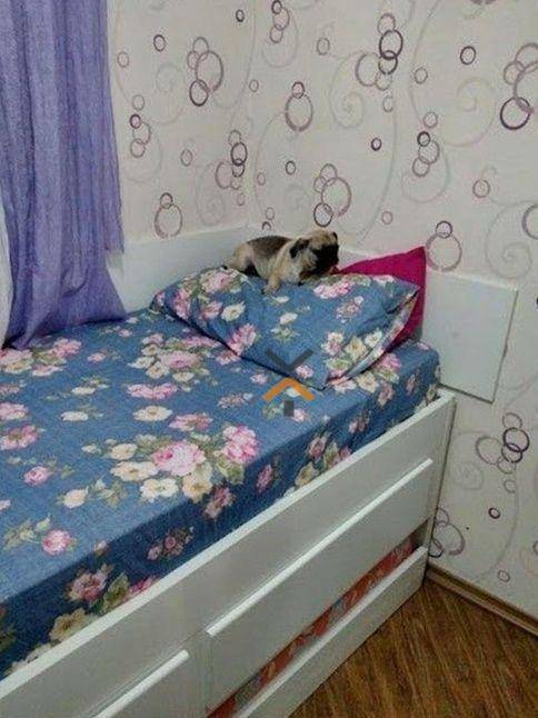 y5d4WlXfHScnQkszH5EjzqhrUZJiPgkO-1